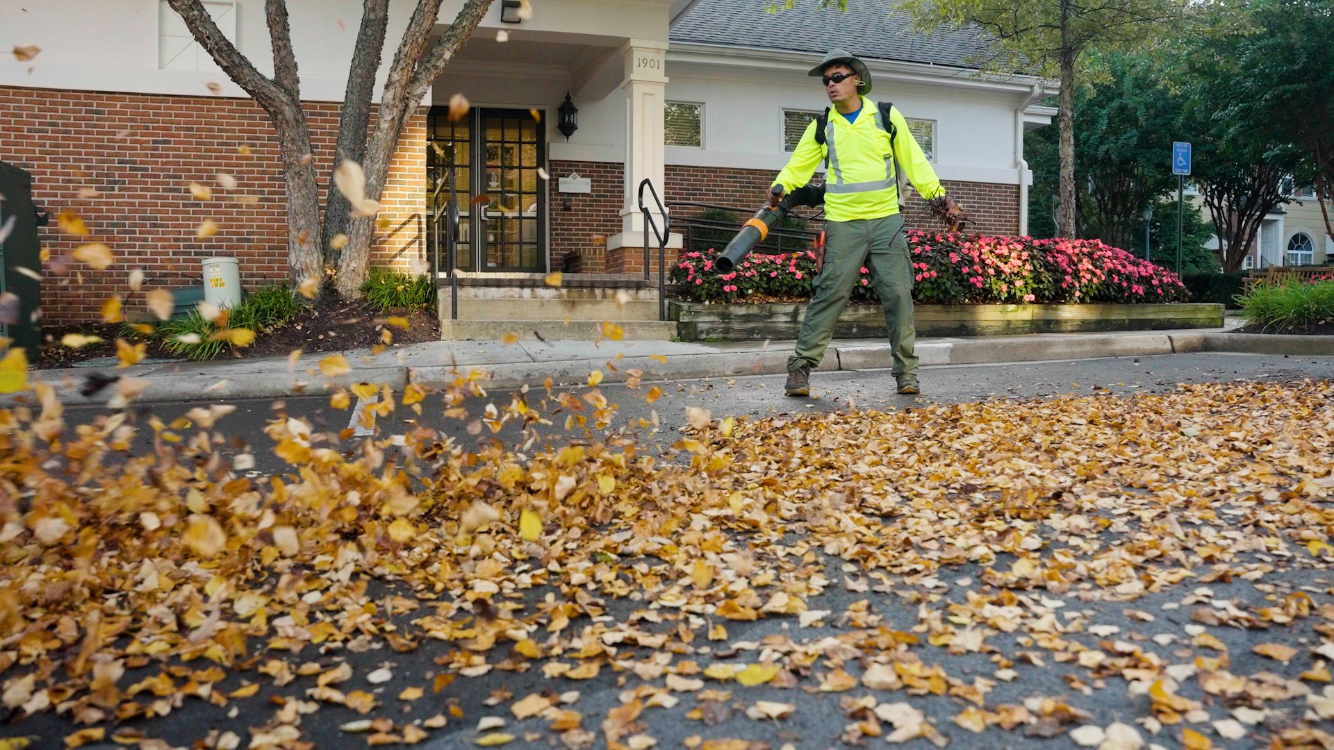 arlington gas leaf blower ban
